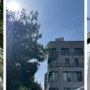 정,스튜디오 이미지