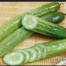 전종필 네이버블로그