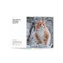 스토리펫 이미지