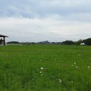 인천국제공항 하늘정원 내 이미지