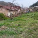 남산평기리 이미지