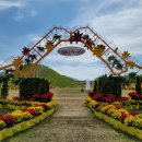 생활원예 야간 이미지