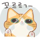 더샘홈플러스 이미지