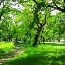 팔옥횟집 이미지