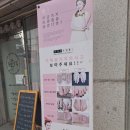 봉글살롱 이미지