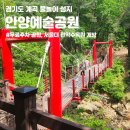 경기도 계곡 물놀이 성지 안양예술공원 무료주차 꿀팁(feat. 서울대 관악수목원 개방)