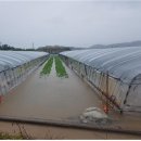 광암축산 이미지