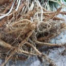 바쁜하루 이미지