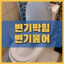 토산아델리움 이미지