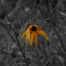 그리고(GRIGO) 이미지