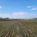 모촌 경로당 이미지