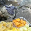 밤나무계곡민박 이미지