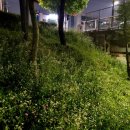 강남역 푸드트럭존(서초초등학교) | 신논현점집 ㅣ 재기의 방법을 알려준 천암사