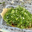 하나 | 오사카 우메다 타코야키 맛집, 하나타코 포장 웨이팅 후기