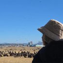 독수리 | 경남 고성 아이와 '날아라! 고성독수리' 색다른 체험 후기 | 예약 방법 및 준비 사항