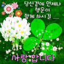 소나무향기 이미지