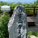 데이지화원 이미지