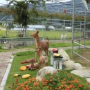 양우농장 이미지