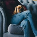 위례정체정심태권도장 이미지