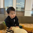 파스타봉봉 | 슈슈봉봉 대구 내돈내산 재방문 후기(음식/커피 맛집)