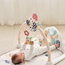 행복한 체육관 | 아기의 행복한 성장을 선물하다: 하베브릭스 바람개비 아기체육관, 우리 아가의 첫 놀이터!