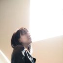 527 이미지