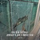 창포산업 | 부산창호 자파현상(스폰테니어스 크랙) 강화유리샷시 자연파손 이유