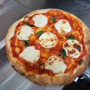 빨강다람쥐 이미지