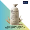 아우어
