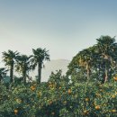 해성파크텔 이미지