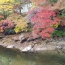 유화 민박 이미지