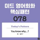 [중급편 078] &#39;You know / [why S V~]?&#39;(왜 S주어가 V동사하는지 알아?) 이미지