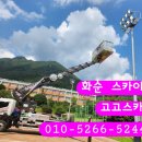 고고써치