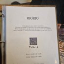 리오 | 광명역맛집 추천 스페인 음식 전문점 리오리오 방문후기