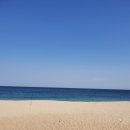 바다정원;바다정원애견