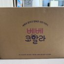 18개월 아기 생활동화 베베코알라 내돈내산 구매 후기