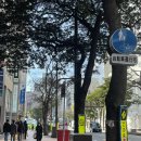 270-3015 | FUKUOKA [DAY1-DAY2]