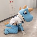 단디 이미지