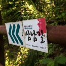 땅끝천년숲옛길 이미지