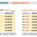 애드퍼스트 네이버블로그