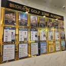 에이스골프아카데미 | <동탄골프연습장> 시설좋은 버디톡골프아카데미 후기!