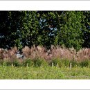 서호농장 이미지