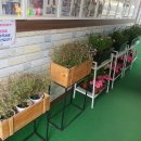 다락만화 - 공주시 흑수골길 33 | 다락만화