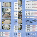 맘모스회센타3호