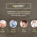 강북제일항외과