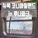 루나코니 이미지
