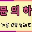 착한애견 이미지