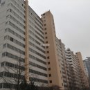 동아진흥 네이버블로그