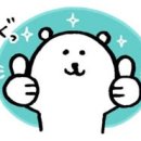 책 후기 4 : 하에다마처럼 모시는 것