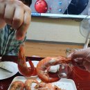 통영왕새우